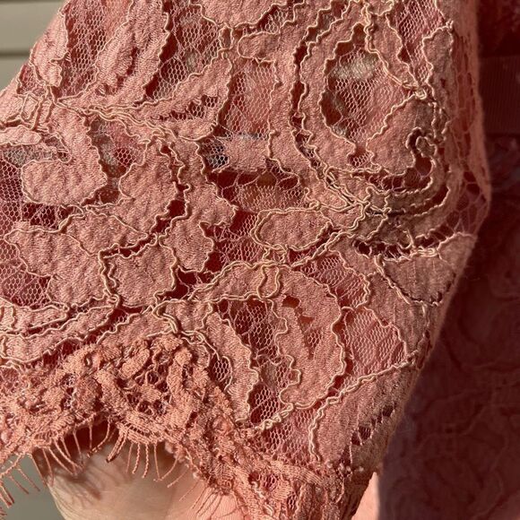 Tadashi Shoji blush Evening Dress Gown Cocktail Wedding Lace Lined Pink Size 12 - Picture 12 of 14